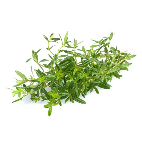 Bohnenkraut, Bio Knospe Schweiz