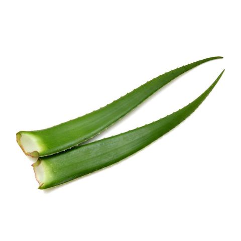 Aloe Vera, EU Bio