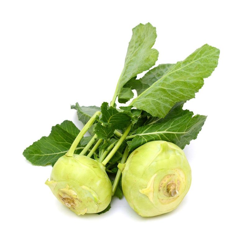 Kohlraben weiss, Bio Knospe Schweiz