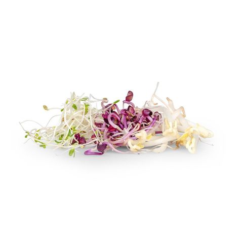 Sprossen-Mix, Schweizer Bio-Verordnung