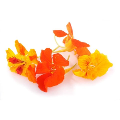 Blüten essbar, Bio Knospe Schweiz