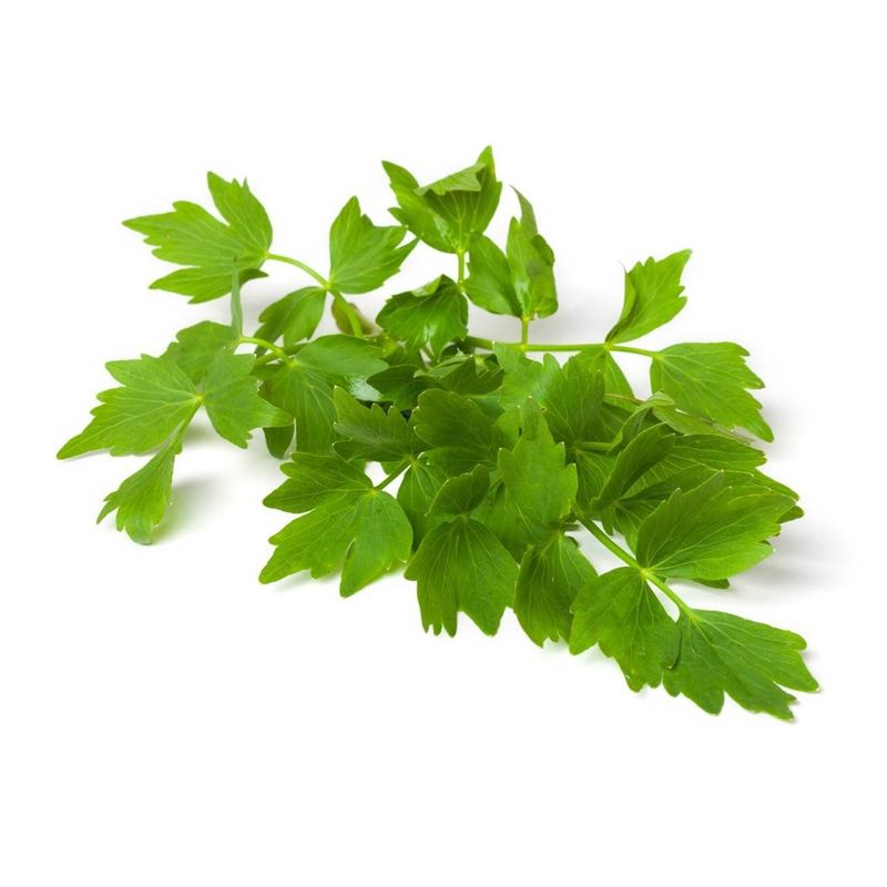 Maggikraut, Bio Knospe Schweiz