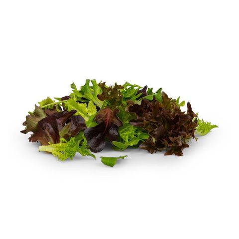 Widacher Babyleaves/Rucol, Bio Knospe Schweiz