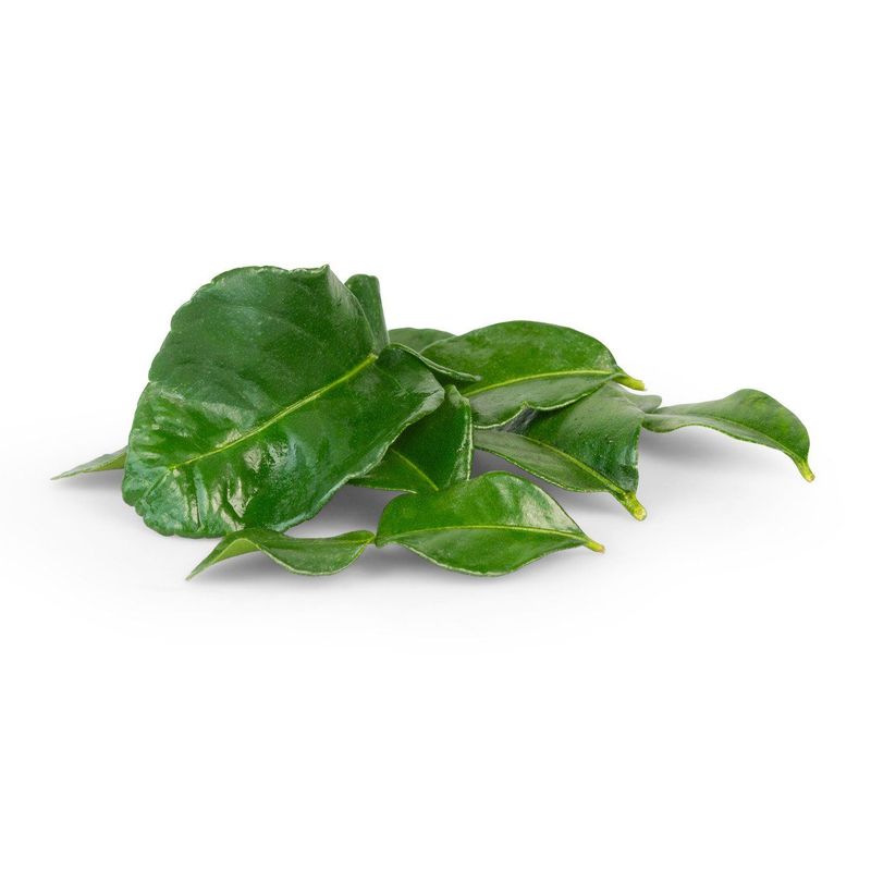 Kaffirlimettenblätter, Bio Knospe Schweiz