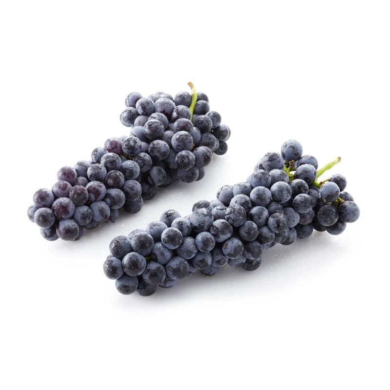 Trauben blau Muscat, Demeter