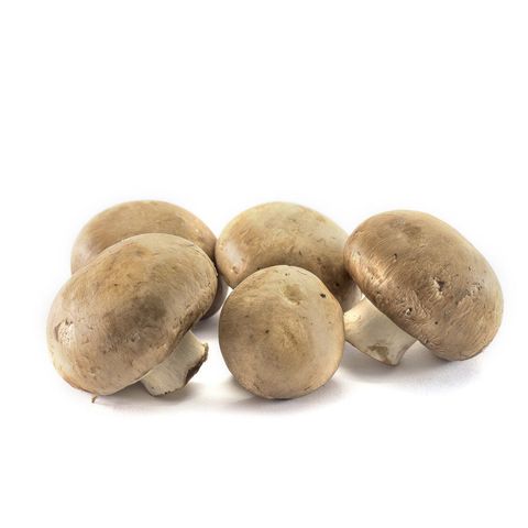 Champignons Grilletto bra, Bio Knospe Schweiz