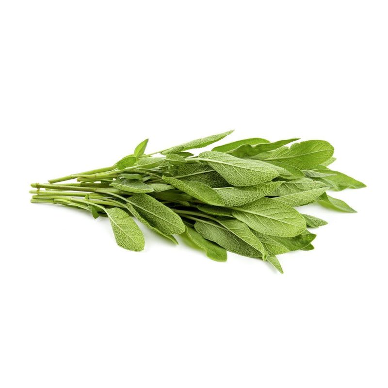 Salbei, Bio Knospe Schweiz