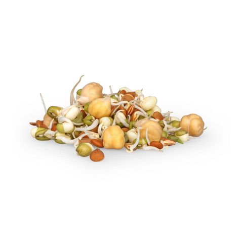 Sprossen Power Mix, Schweizer Bio-Verordnung
