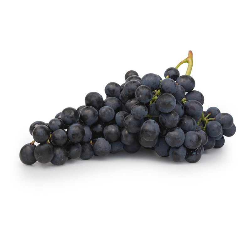 Trauben blau Osella, Bio Knospe Schweiz