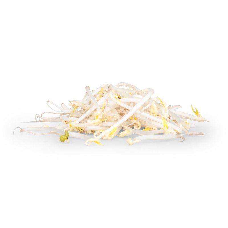 Sprossen Moyashi, Schweizer Bio-Verordnung
