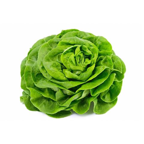 Kopfsalat grün, Bio Knospe Schweiz
