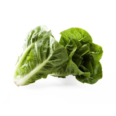 Lattich Mini grün, Bio Knospe Schweiz