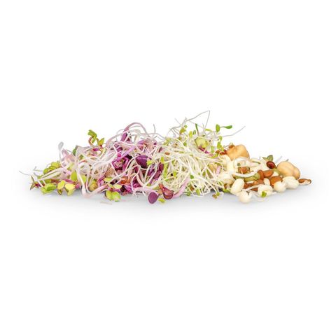 Sprossen Lunch, Schweizer Bio-Verordnung