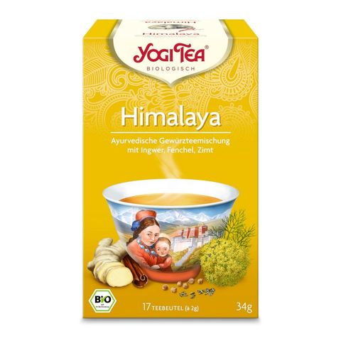 Himalaya, Gewürztee, EU Bio