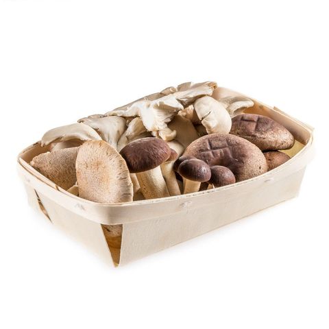 Pilzmix, Bio Knospe Schweiz