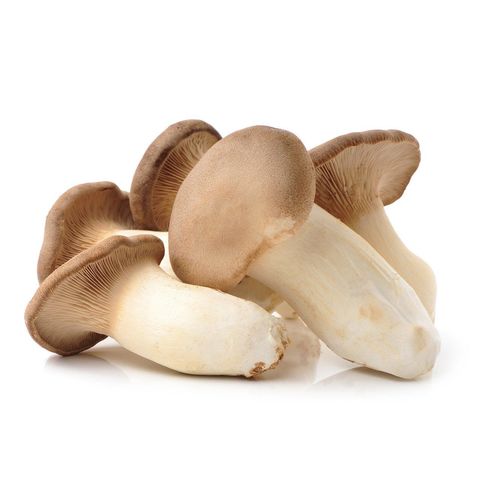 Kräuterseitling, Bio Knospe Schweiz