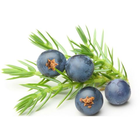 Wacholderbeeren ganz, Bio Knospe