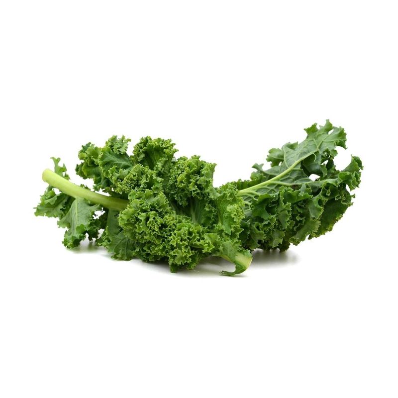 Blatt-Federkohl grün, Bio Knospe Schweiz