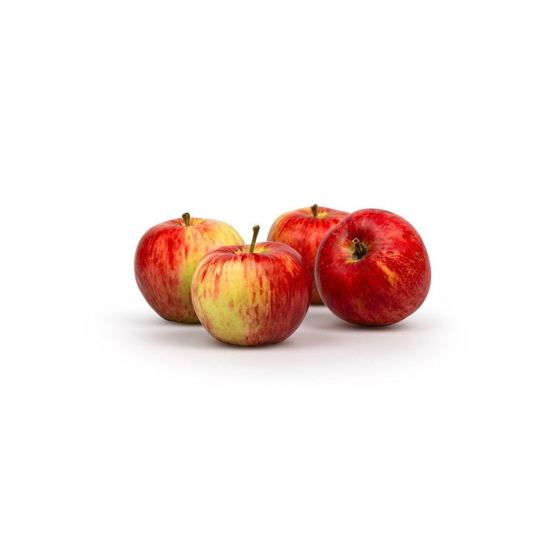 Apfel Nela säuerlich, Bio Knospe Schweiz