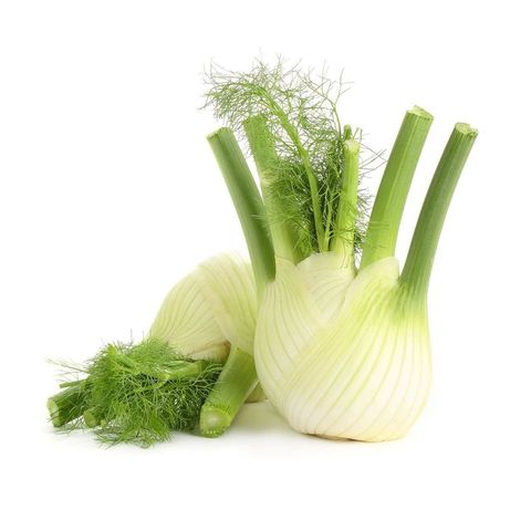 Fenchel, Bio Knospe Schweiz