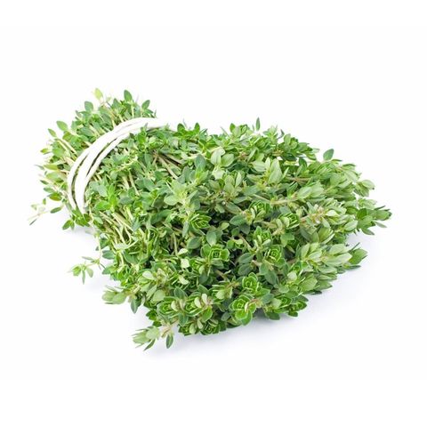 Zitronenthymian, Bio Knospe Schweiz