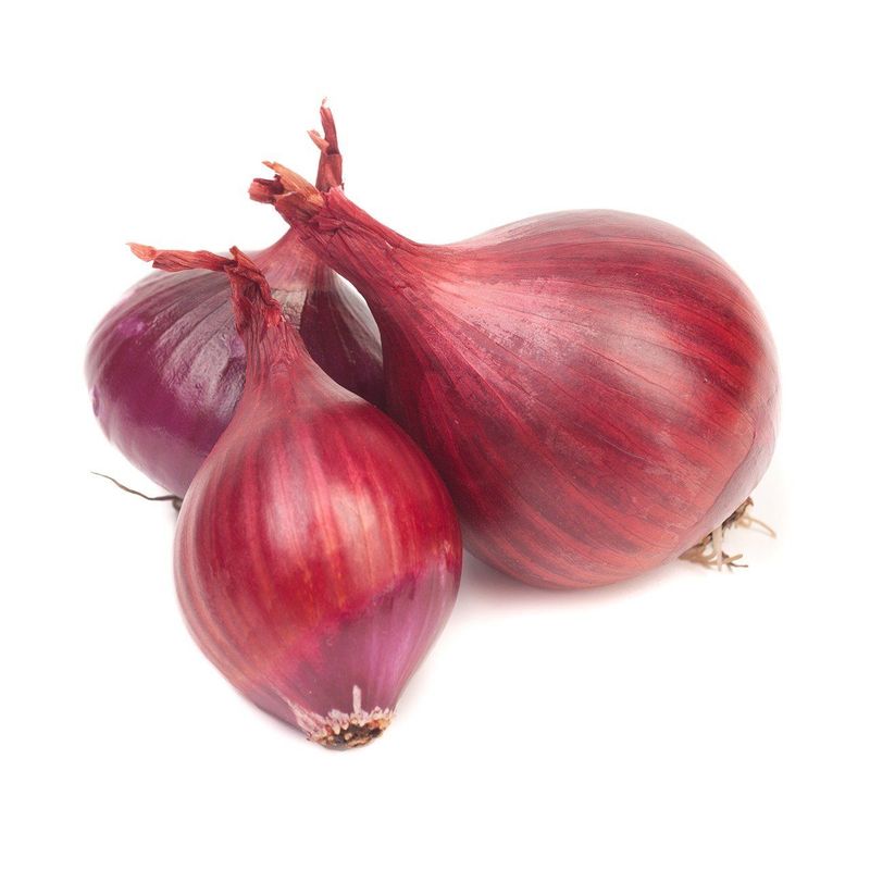 Zwiebeln rot, Bio Knospe Schweiz