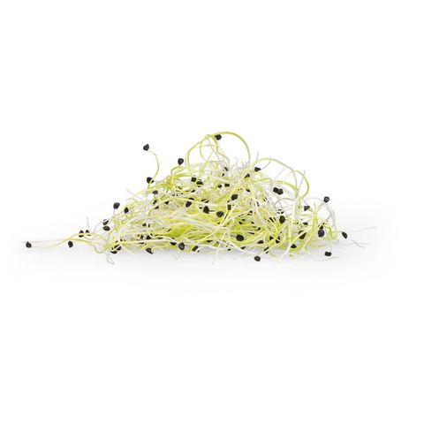 Sprossen Zwiebeln, Schweizer Bio-Verordnung