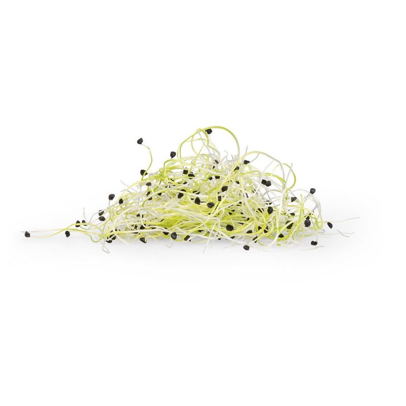 Sprossen Zwiebeln, Schweizer Bio-Verordnung